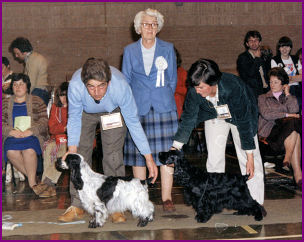 BCC Ch Show 1981