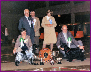 BIS Ch Show 1982