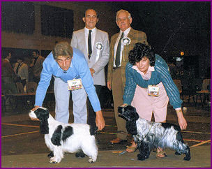 BIS Ch Show 1984