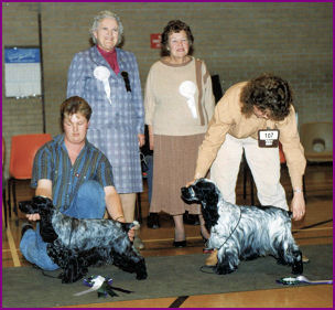 BIS Ch Show 1990