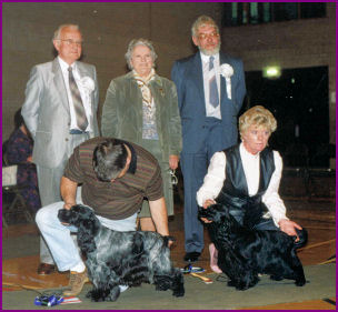 BIS Ch Show 1991