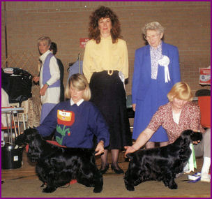 BIS Ch Show 1993