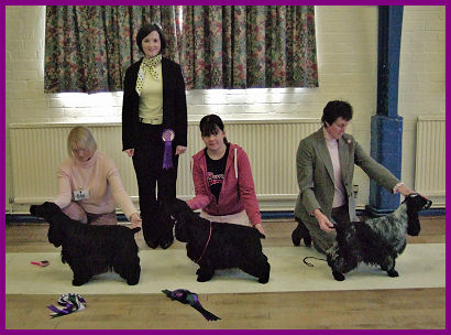 Best in Show Jan 2006