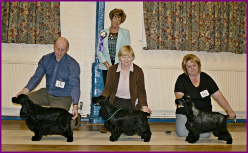 Best In Show January 2008