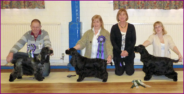 Best In Show Jan 2011