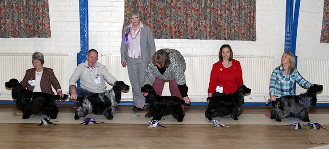 Best in Show line up January 2013
