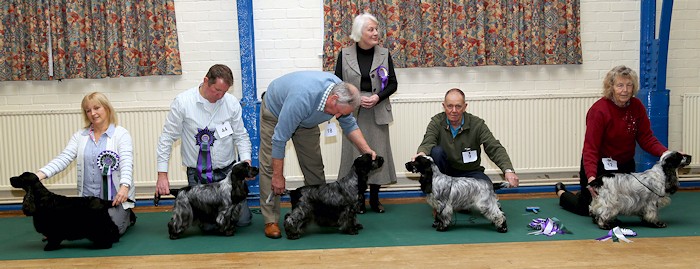 Best In Show January 2014