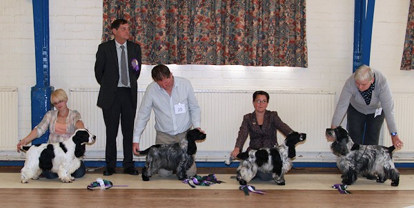 Best in Show line up Oct 2012