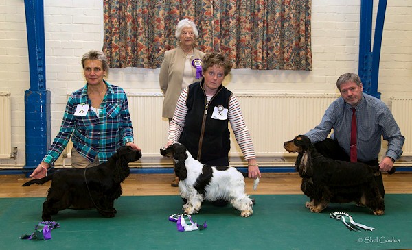 Best In Show October 2014