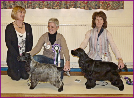 BPIS Open Show Jan 2011