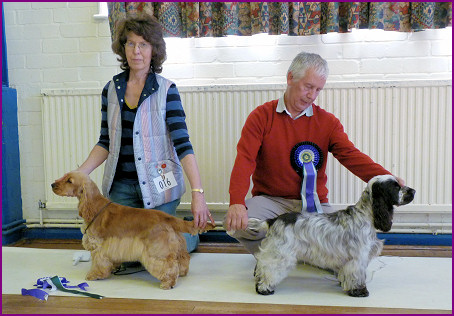 Best Puppy in Show October 2010