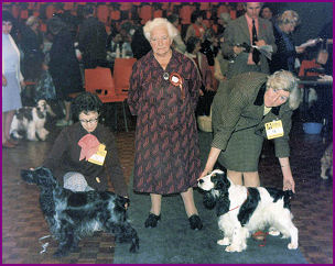 DCC Ch Show 1975