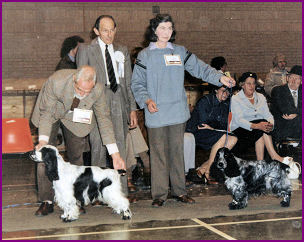 DCC Ch Show 1981