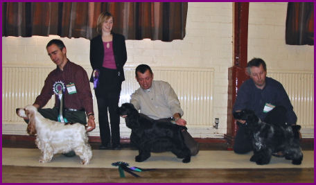 Best in Show Feb 2003