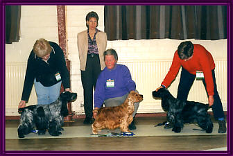 Best In Show January 2001