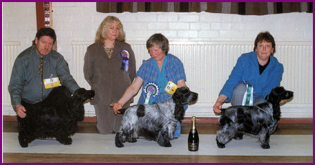 Best in Show Jan 2002