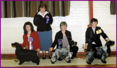 Best In Show Jan 2004