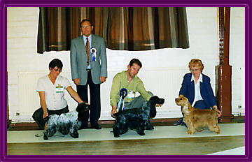 Best In Show June 2001