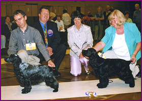 BPIS Championship Show 2001