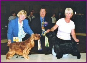 DCC Championship Show 2001