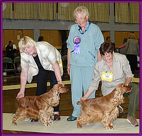 DCC Championship Show 2003